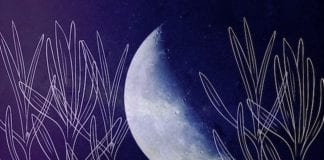 NOUVELLE LUNE, 6 octobre 2021 ~ UNE ABONDANCE D’ÉNERGIES TRANSFORMATRICES